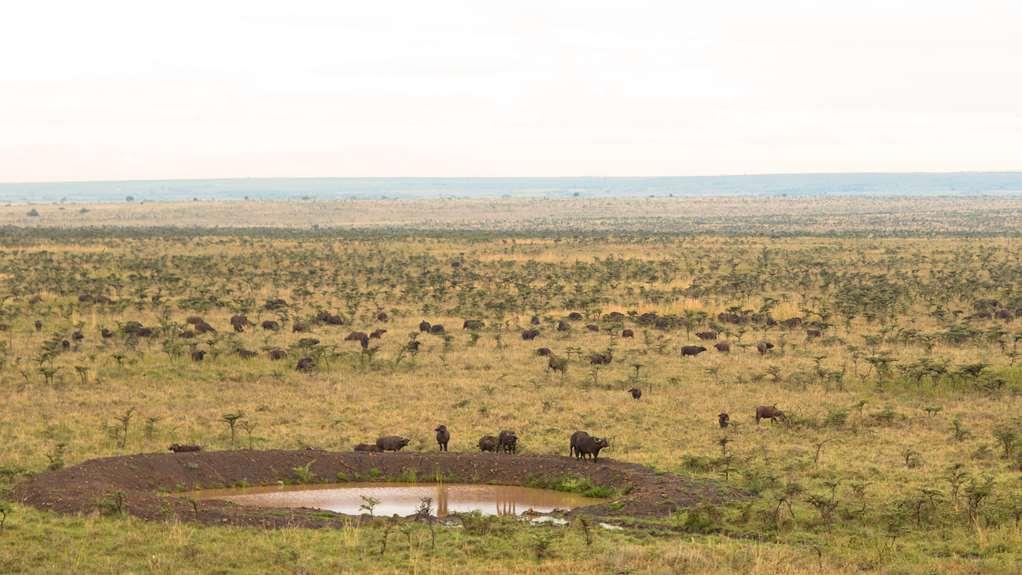 Ole Sereni Nairobi Bagian luar foto